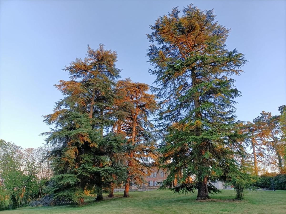 Chambres d'Hôtes Le Jardin Des Cèdres Lavaur (Tarn) Exterior foto