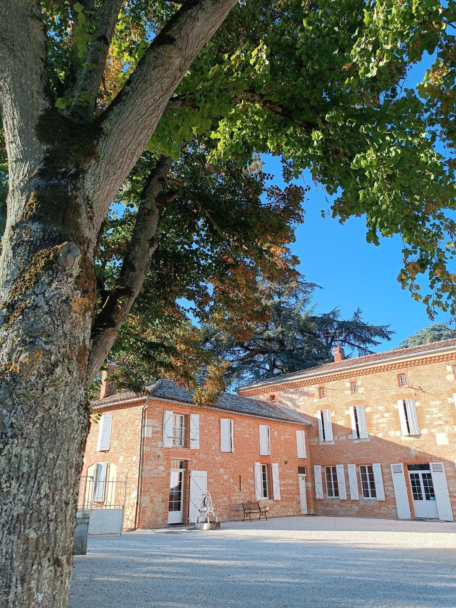 Chambres d'Hôtes Le Jardin Des Cèdres Lavaur (Tarn) Exterior foto