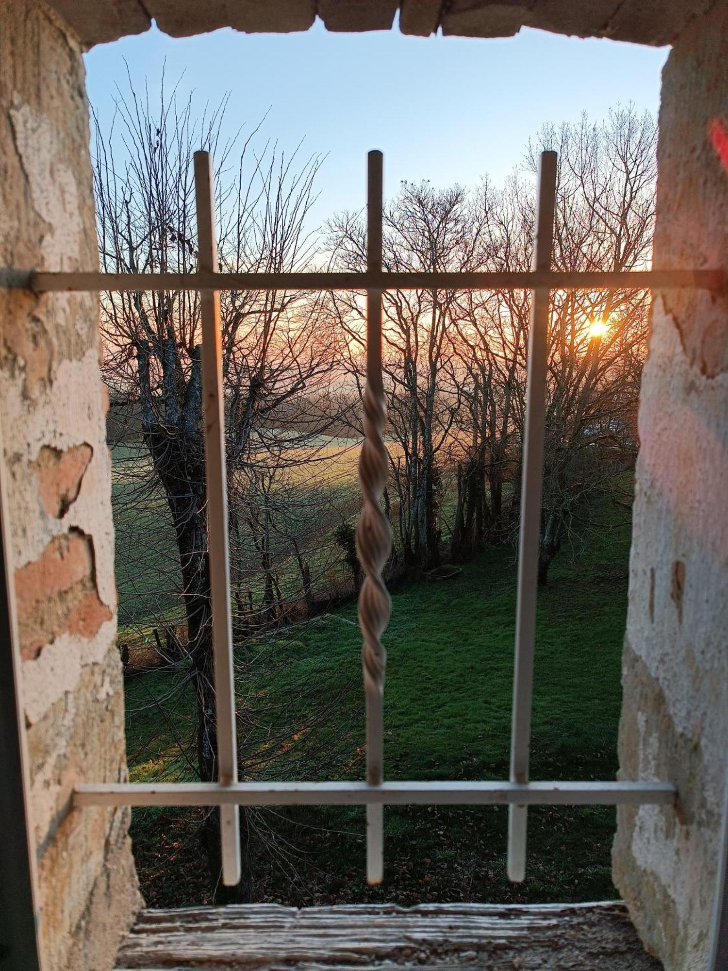 Chambres d'Hôtes Le Jardin Des Cèdres Lavaur (Tarn) Quarto foto