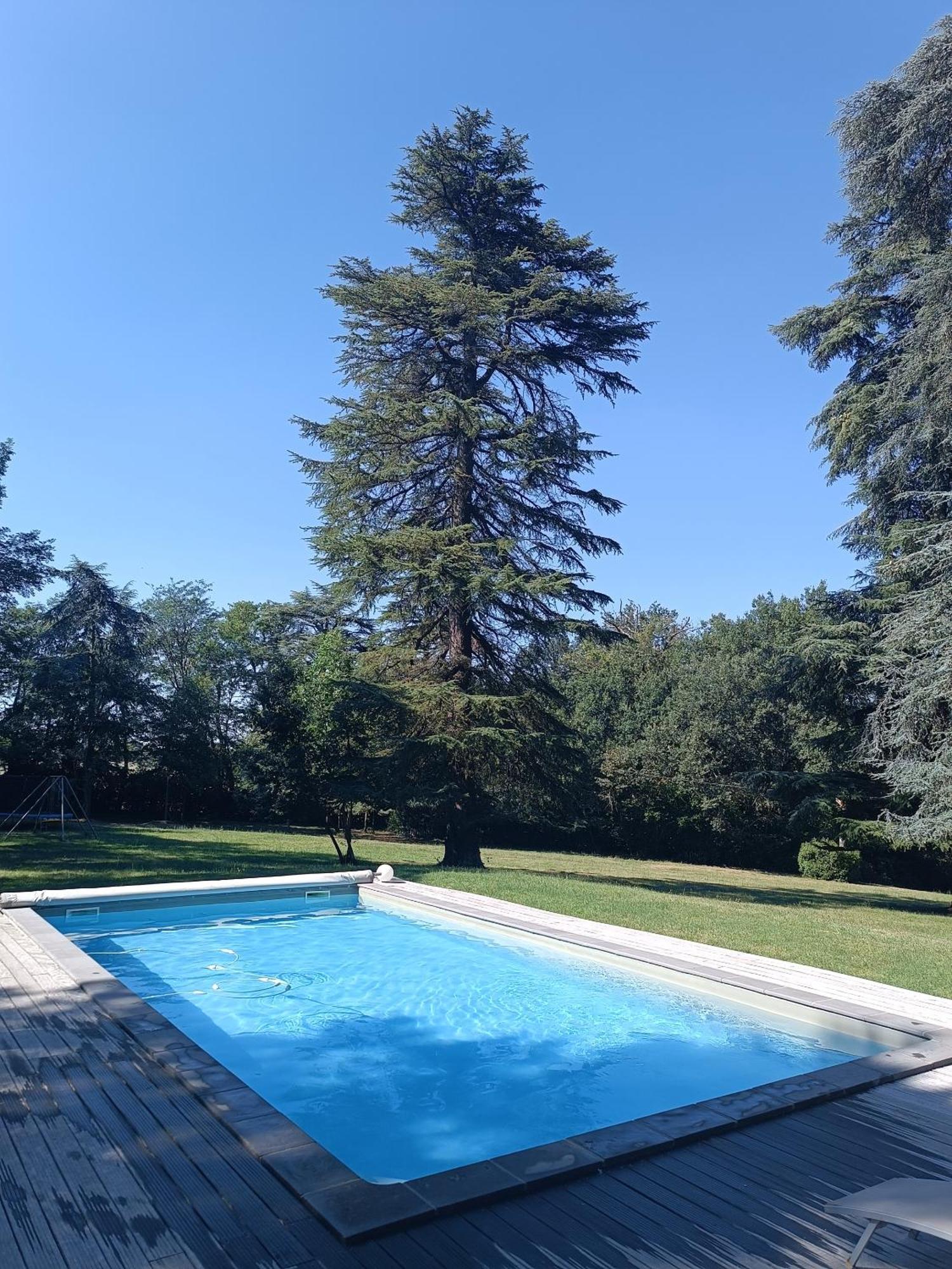 Chambres d'Hôtes Le Jardin Des Cèdres Lavaur (Tarn) Exterior foto